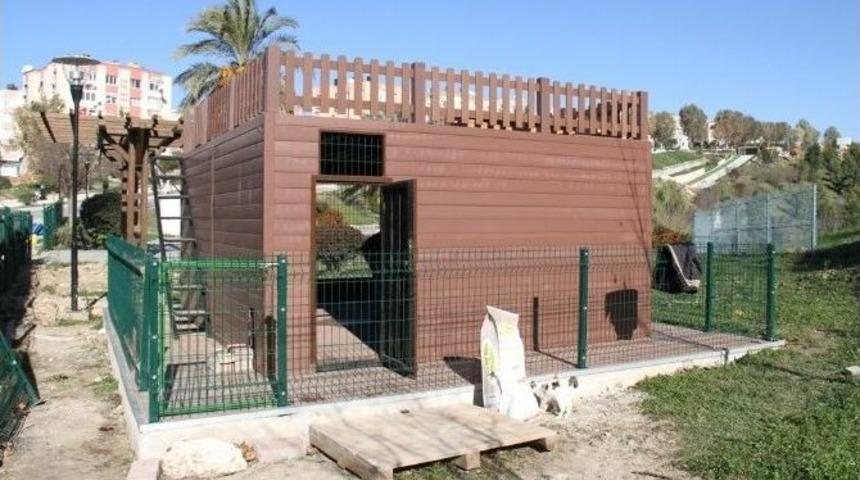 Buca&rsquo;da Kedilerinde Bir Evi Var