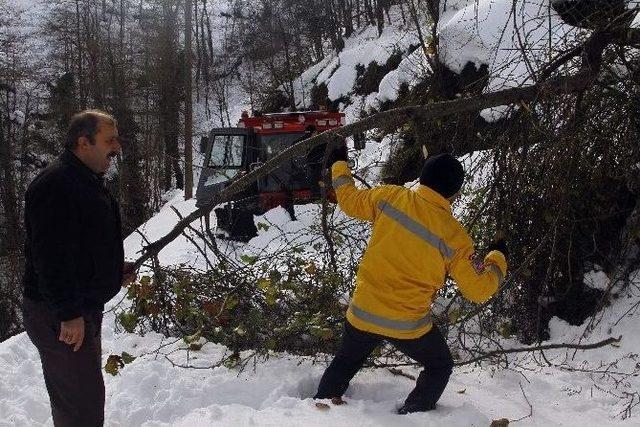 Rize’de 3 Yaşındaki Hasta Paletli Ambulans İle Kurtarıldı