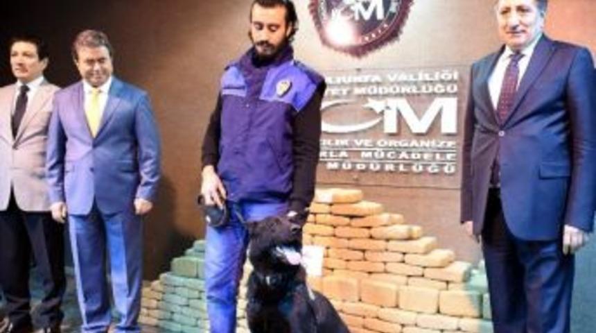 Şanlıurfa&rsquo;da Uyuşturucu Operasyonu