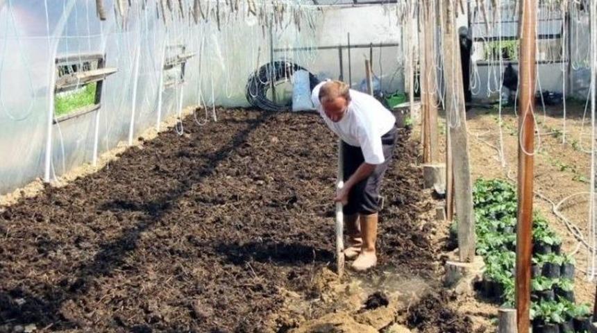 &Ouml;rt&uuml; Altı Seracılık Sekt&ouml;r Oldu