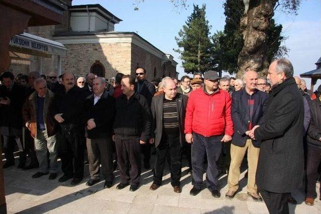 Yalova’da Ağaç Kesimi Muharrem İnce’yi De İsyan Ettirdi...(özel Haber)