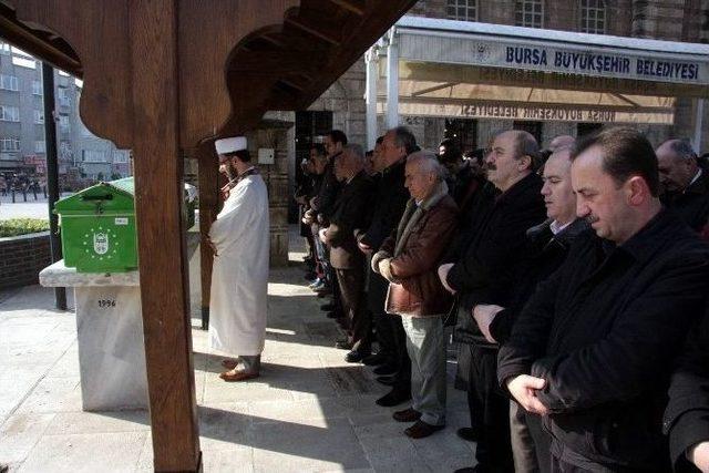 Yalova’da Ağaç Kesimi Muharrem İnce’yi De İsyan Ettirdi...(özel Haber)