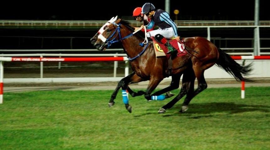 3. Ereğli Belediyesi Koşusu Adana&rsquo;da D&uuml;zenlendi