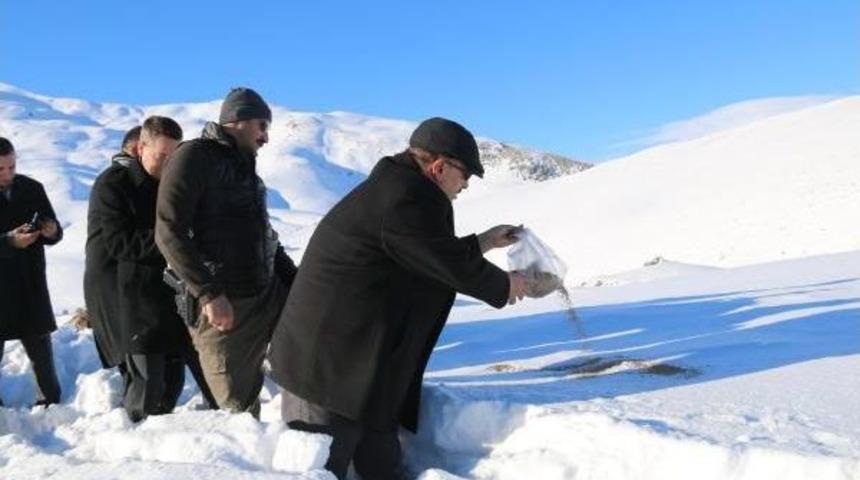 Kuşlar I&ccedil;in Doğaya Yem Bırakıldı