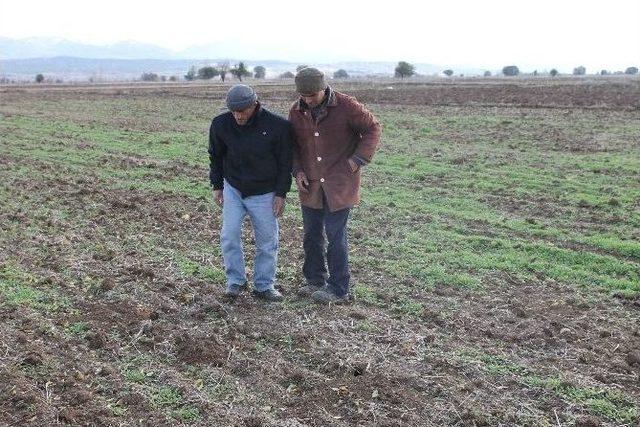 &Ccedil;ift&ccedil;inin Fare &Ccedil;ilesi 1