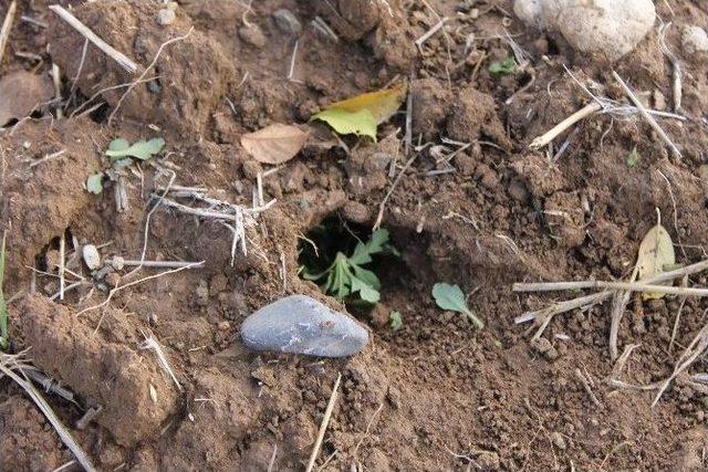 &Ccedil;ift&ccedil;inin Fare &Ccedil;ilesi 2