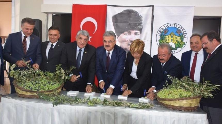 Zeytin Ve Zeytinyağ Sezonu A&ccedil;ıldı