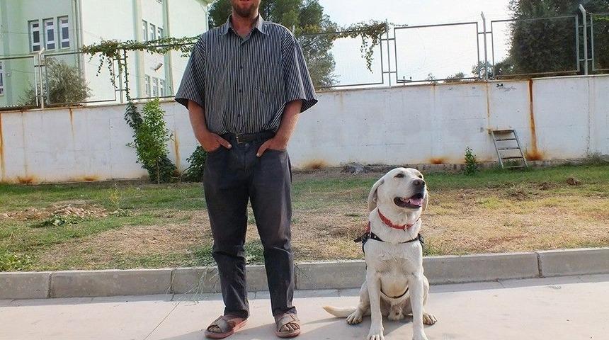 İz Takip K&ouml;peği Cevher&rsquo;in B&uuml;y&uuml;k Başarısı