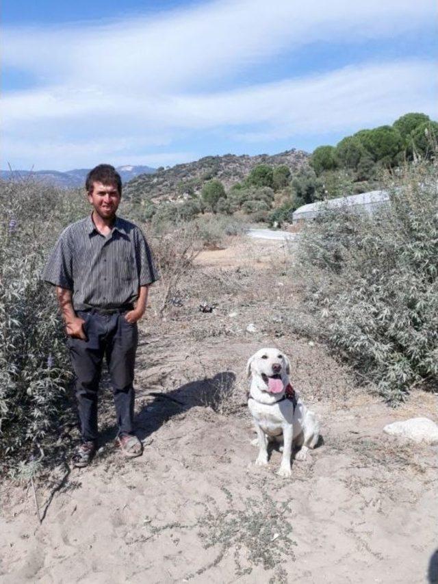 İz Takip K&ouml;peği Cevher&rsquo;in B&uuml;y&uuml;k Başarısı 2