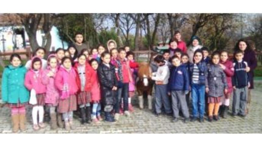 Tegv G&ouml;n&uuml;ll&uuml;leri Minikleri Hayvan Dostlarına G&ouml;t&uuml;rd&uuml;