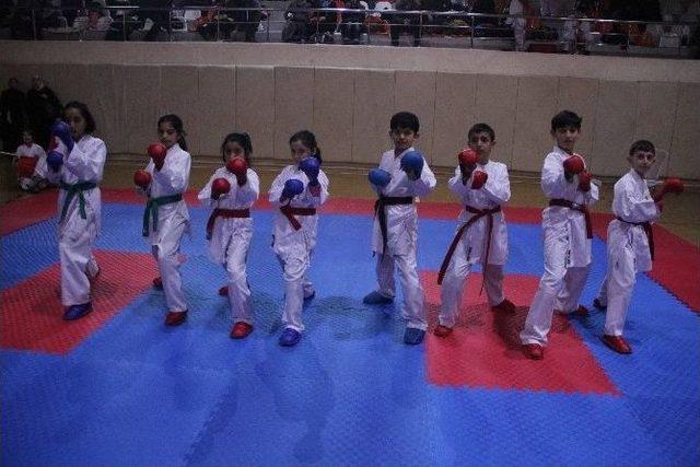 Van’da Karate İl Birinciliği Sona Erdi