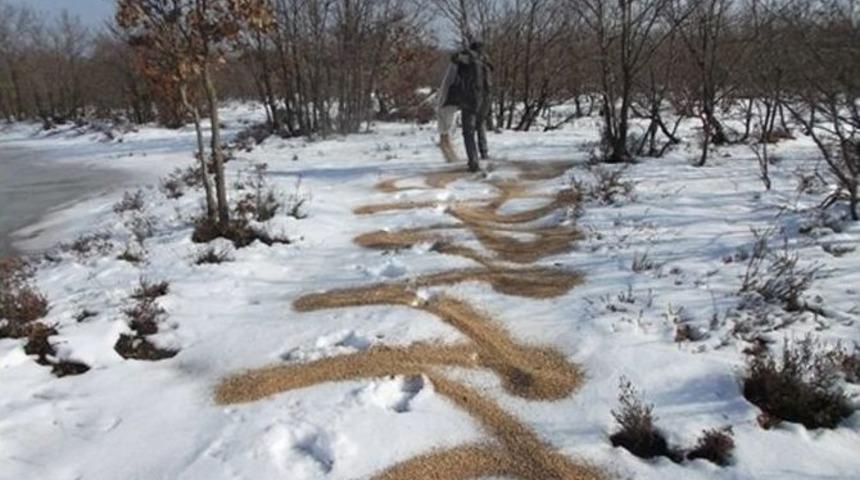 Tekirdağ&rsquo;da Yaban Hayvanları Unutulmadı