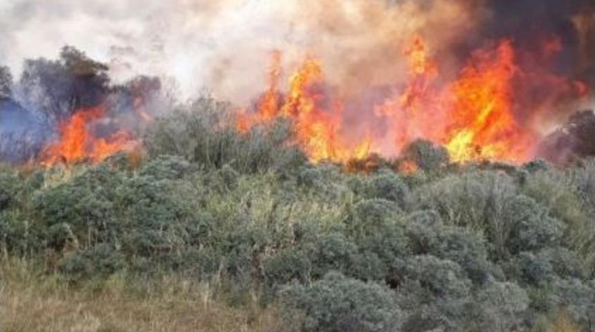 Ağrı&rsquo;da 2 D&ouml;n&uuml;m &Ccedil;alılık Alan Yandı