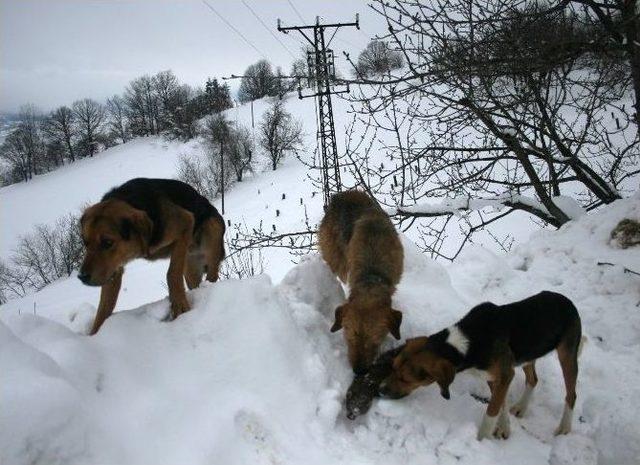 Sansar K&ouml;y&uuml; Elektriksiz Bıraktı 1