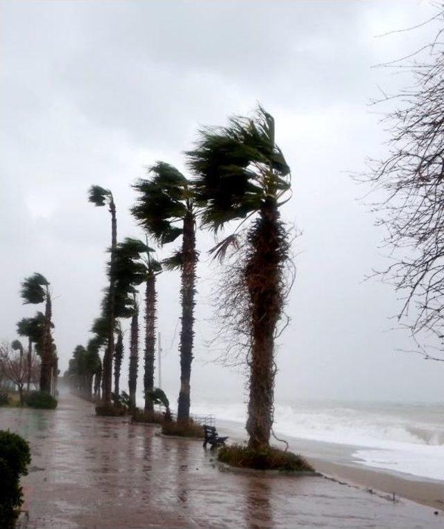 Antalya'da Fırtına Ve Yağmur Yaşamı Felç Etti, Okullar Tatil Edildi (3) - Yeniden