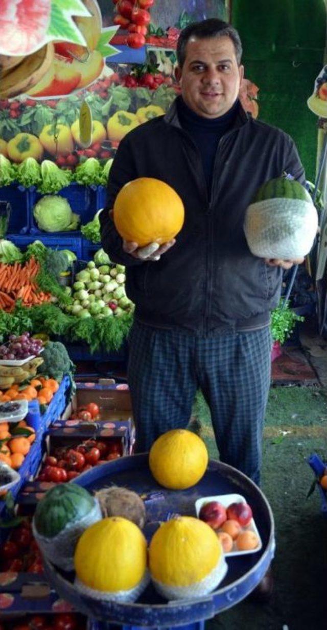 Yaz Meyveleri Kışın El Yakıyor