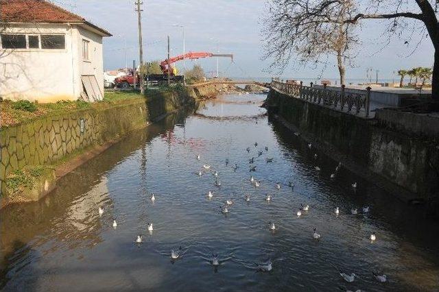 Akçakoca’da Tahta Asma Köprüler Kaldırılıyor