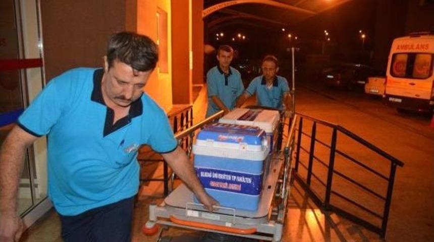 Motosiklet Kazası Sonucu Beyin &Ouml;l&uuml;m&uuml; Ger&ccedil;ekleşen Caner&rsquo;In Organları 7 Kişiye Umut Oldu