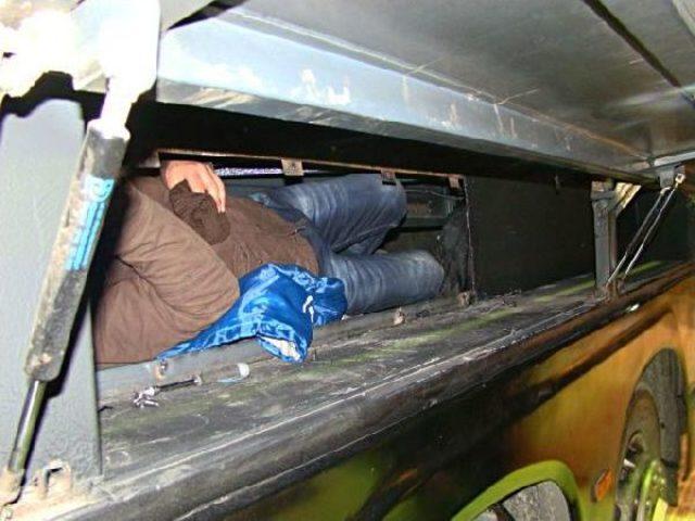 Otobüsün Bagajında 4 Kaçak Yakalandı