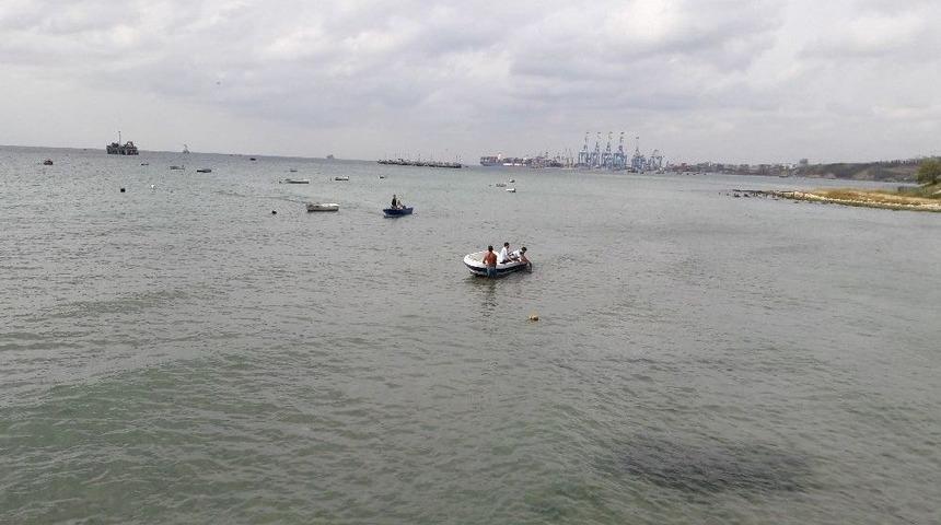 (&ouml;zel Haber) Avcılar A&ccedil;ıklarında Yaralı Yunus Alarmı