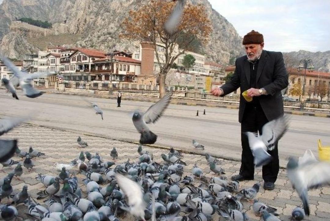 G&uuml;vercinlerin Yemci Babası