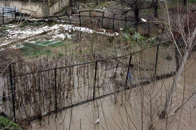 (özel Haber) Bursa’da Dereler Taşma Noktasına Geldi 1