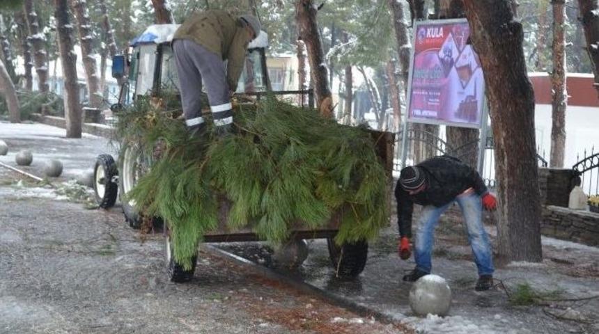 Kula&rsquo;da Yoğun Kar Yağışı Ağa&ccedil;ları Devirdi