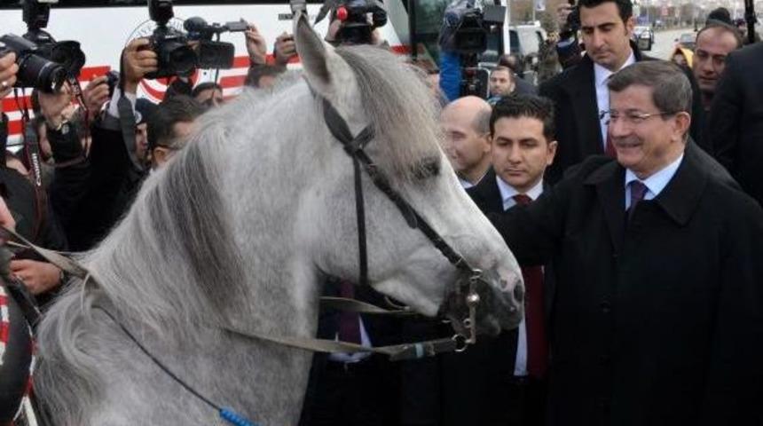 Davutoğlu'nu erzurum'da atlı cirit&ccedil;iler karşıladı
