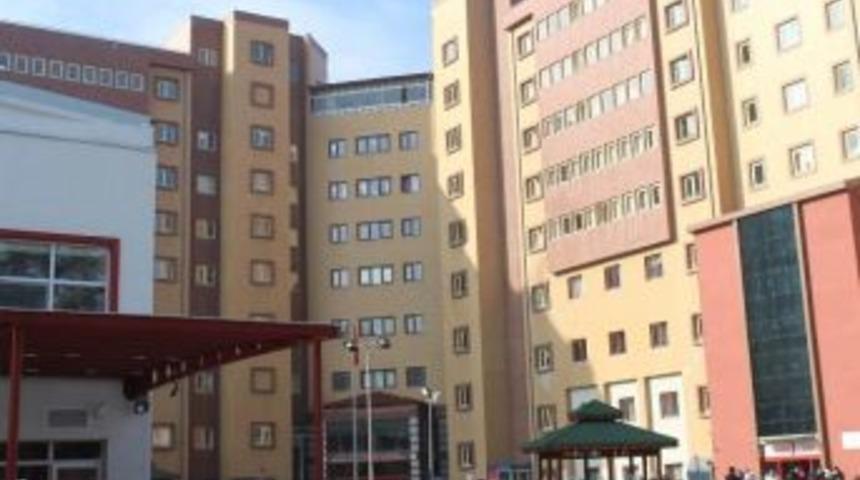 Dp&uuml; Evliya &Ccedil;elebi&rsquo;ye 4 Yeni Asars&ouml;r