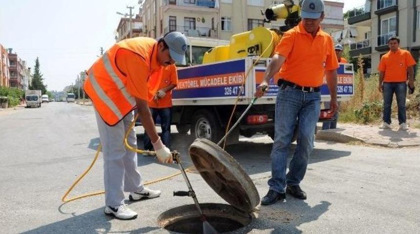 Sinekle M&uuml;cadele İ&ccedil;in Bin Kişilik Ekip