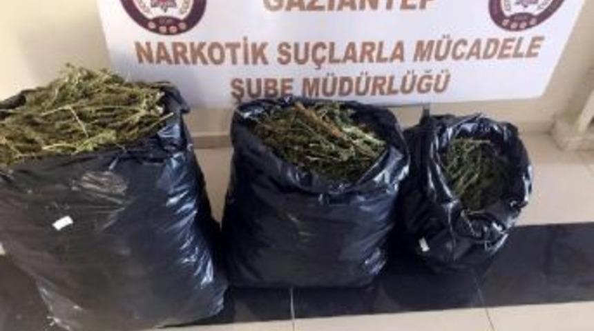 Gaziantep'te 20 Kilo Esrara 2 G&ouml;zaltı
