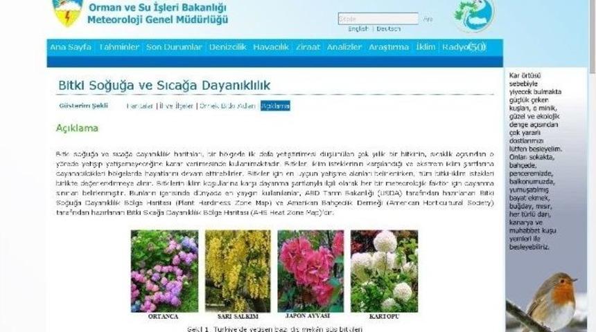 S&uuml;s Bitkisi Yetiştireceklere Uyarı