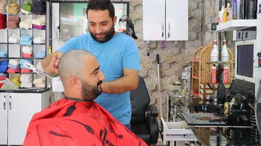 Papağan Berberde &Ccedil;ıraklık Yapıyor