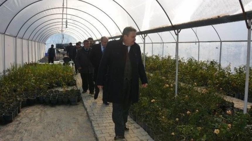 Yunusemre, Mart Ayında &Ccedil;i&ccedil;ek A&ccedil;acak