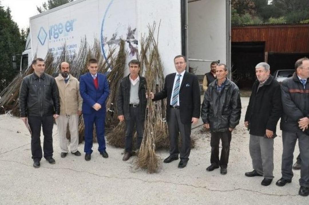 Keşan&rsquo;da Meyveciliği Geliştirme Projesi Kapsamında Ceviz Ve Erik Fidanı Dağıtıldı