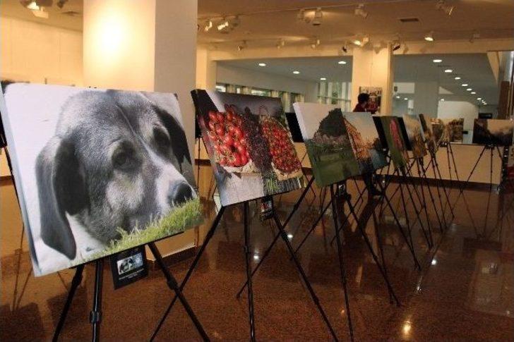 “fototerapi” İmza Gününde Serebral Palsili Çocuklara Dikkat Çekildi G5