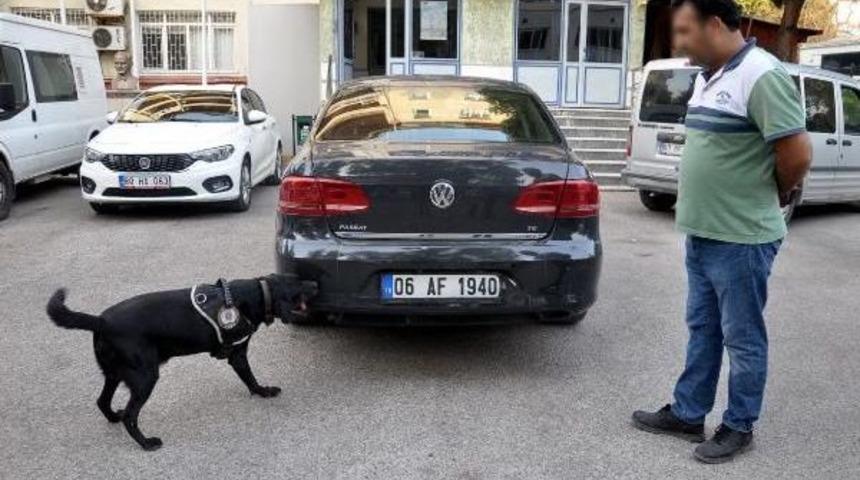 K&ouml;peklerin Bulamaması I&ccedil;in Bagaja 'kahve D&ouml;k&uuml;lerek' Gizlenmek Istenen 71 Kilo Esrar Bulundu