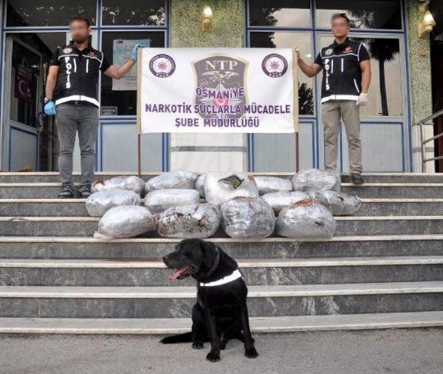 Köpeklerin Bulamaması Için Bagaja 'kahve Dökülerek' Gizlenmek Istenen 71 Kilo Esrar Bulundu