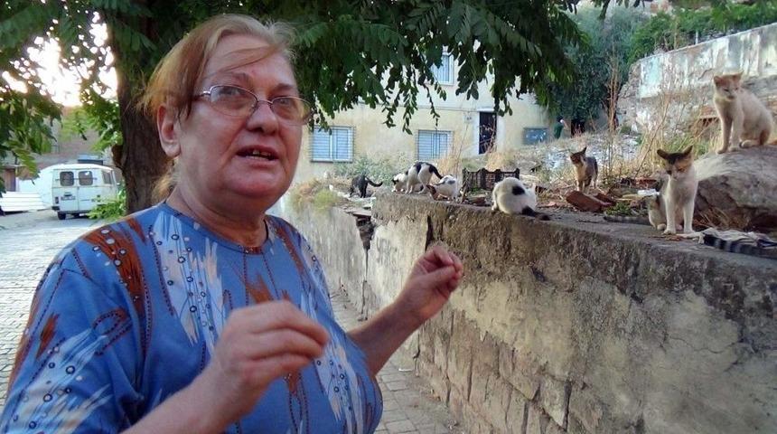 B&ouml;yle Kedi Sevgisi G&ouml;r&uuml;lmedi