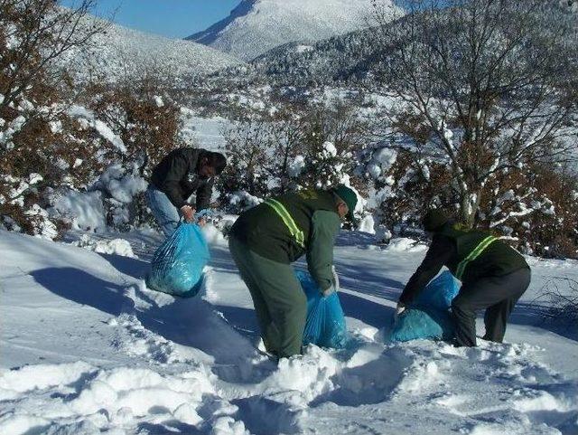 Beyşehir&rsquo;de Yaban Hayvanları Unutulmuyor 1