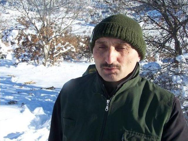 Beyşehir&rsquo;de Yaban Hayvanları Unutulmuyor 2