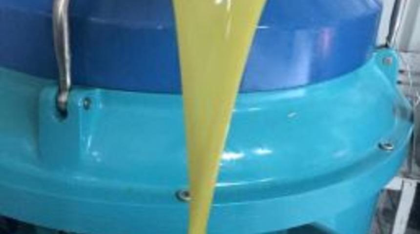 Mut&rsquo;ta 25 Bin Ton Zeytinyağı Rekoltesi Bekleniyor