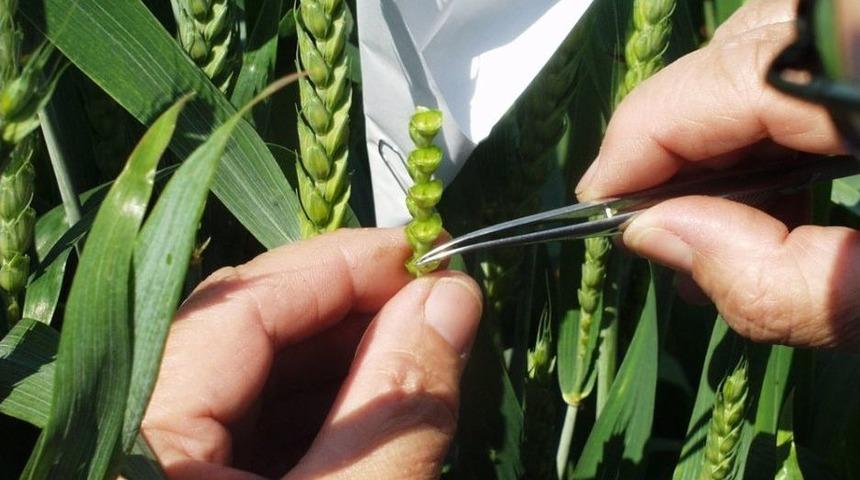 T&uuml;rktob Başkanı Kamil Yılmaz: