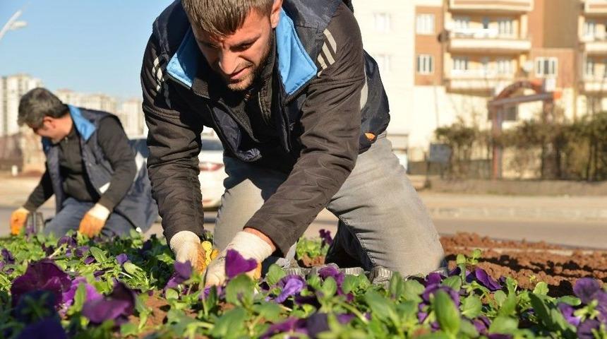 Bağcılar&rsquo;da &Ccedil;i&ccedil;ek Dikim &Ccedil;alışmaları Devam Ediyor