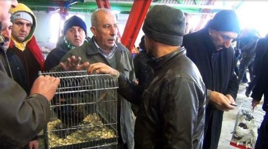 Yaban Hayvanlarını Satanlara G&ouml;z A&ccedil;tırılmadı