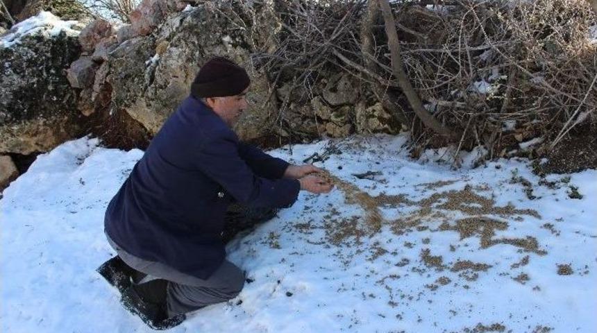 Adıyaman&rsquo;da Yabani Hayvanlar İ&ccedil;in Doğaya Yem Bırakıldı