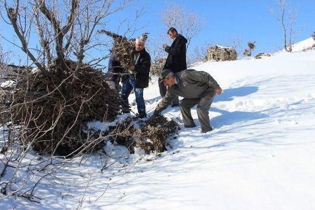 Adıyaman’da Yabani Hayvanlar İçin Doğaya Yem Bırakıldı