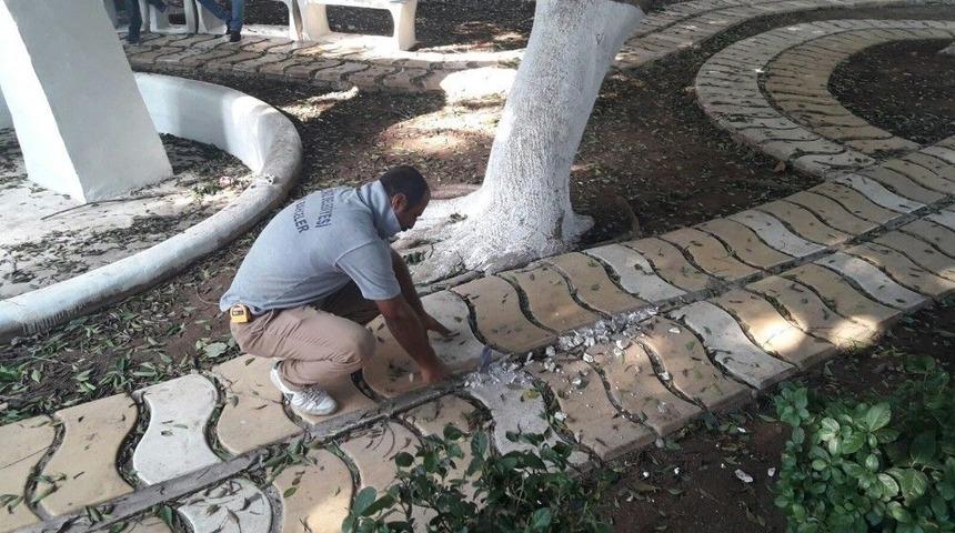 Akdeniz Belediyesi, Sanat Parkında Yenileme &Ccedil;alışmaları Başlattı