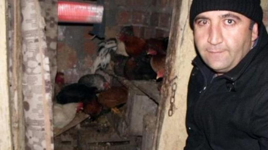 Tavuklarının Donmaması I&ccedil;in K&uuml;mese Elektrikli Isıtıcı Taktırdı