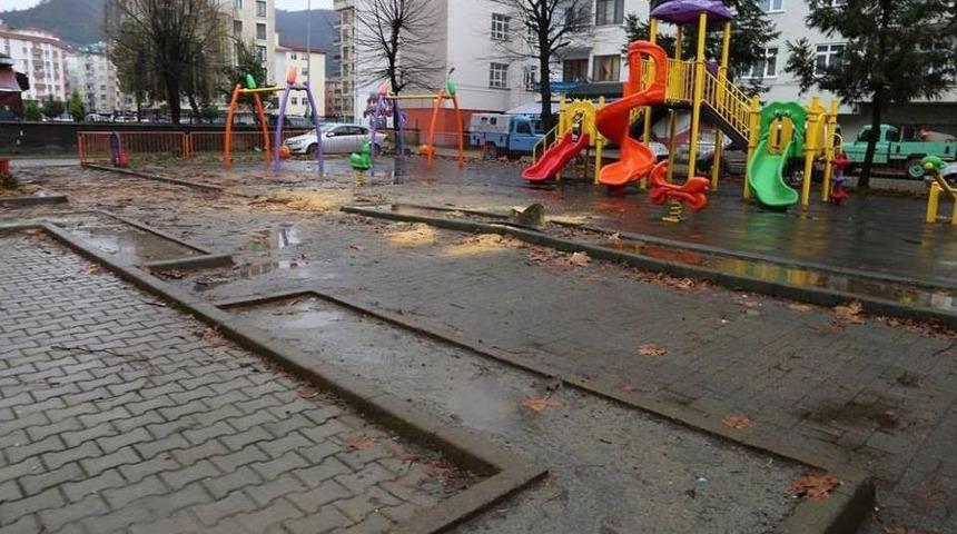 Arhavi&rsquo;de Koruma Altındaki &Ccedil;ınara Gece Kıyımı